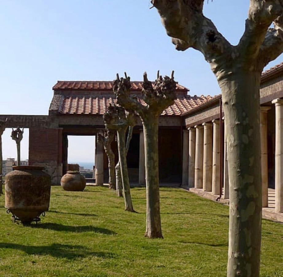Clanagio House Daire SantʼAntonio Abate Dış mekan fotoğraf